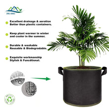 Load image into Gallery viewer, Fabric pot breathable Container Grow Plant Bag Pouch hydroponics 2-30L