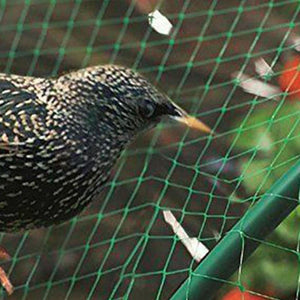 Anti Bird Pond Netting Net Plants Veg Fruit Protect Garden Fine Mesh 2m x10m